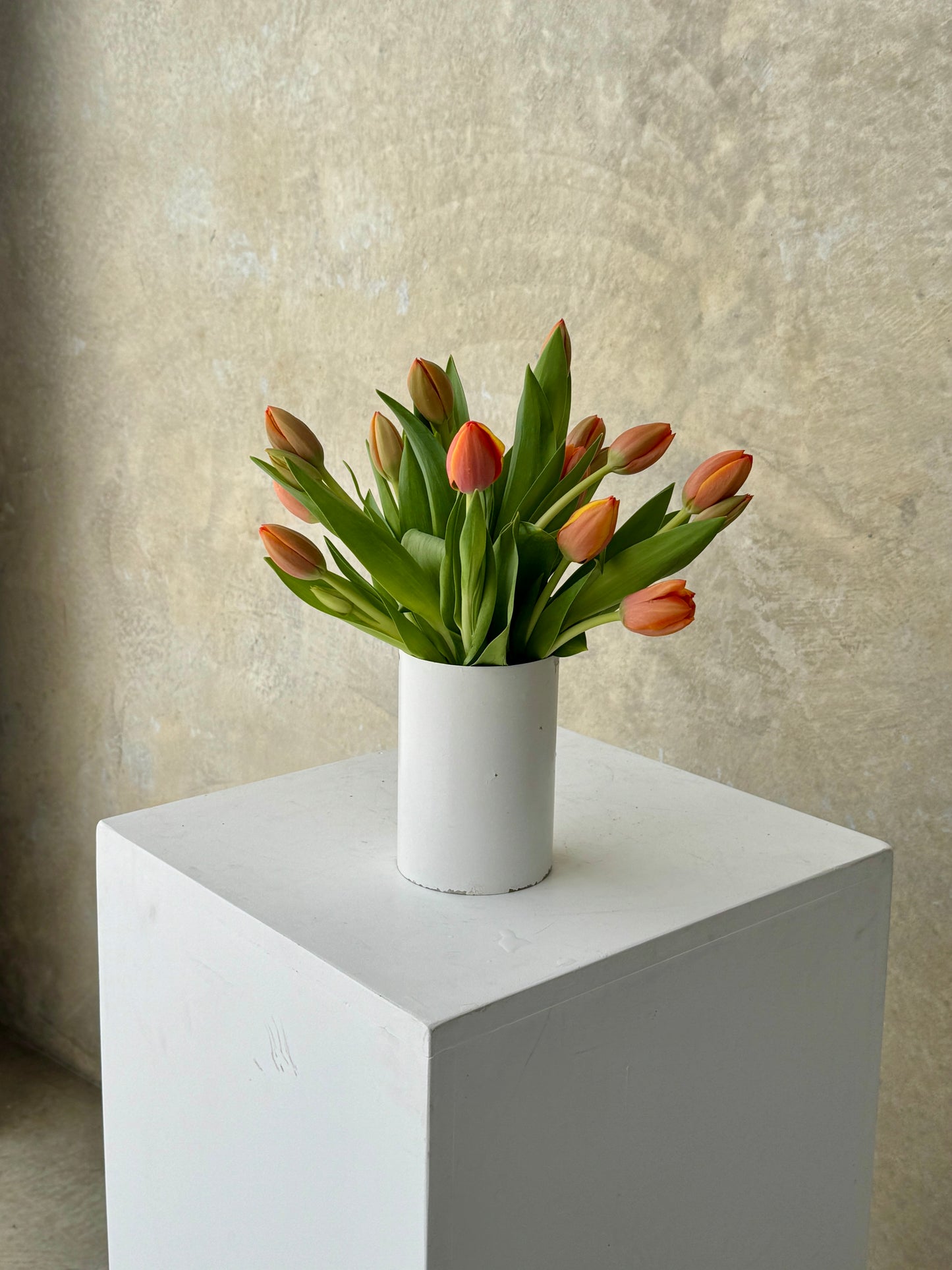 Seasonal Stems: Tulips