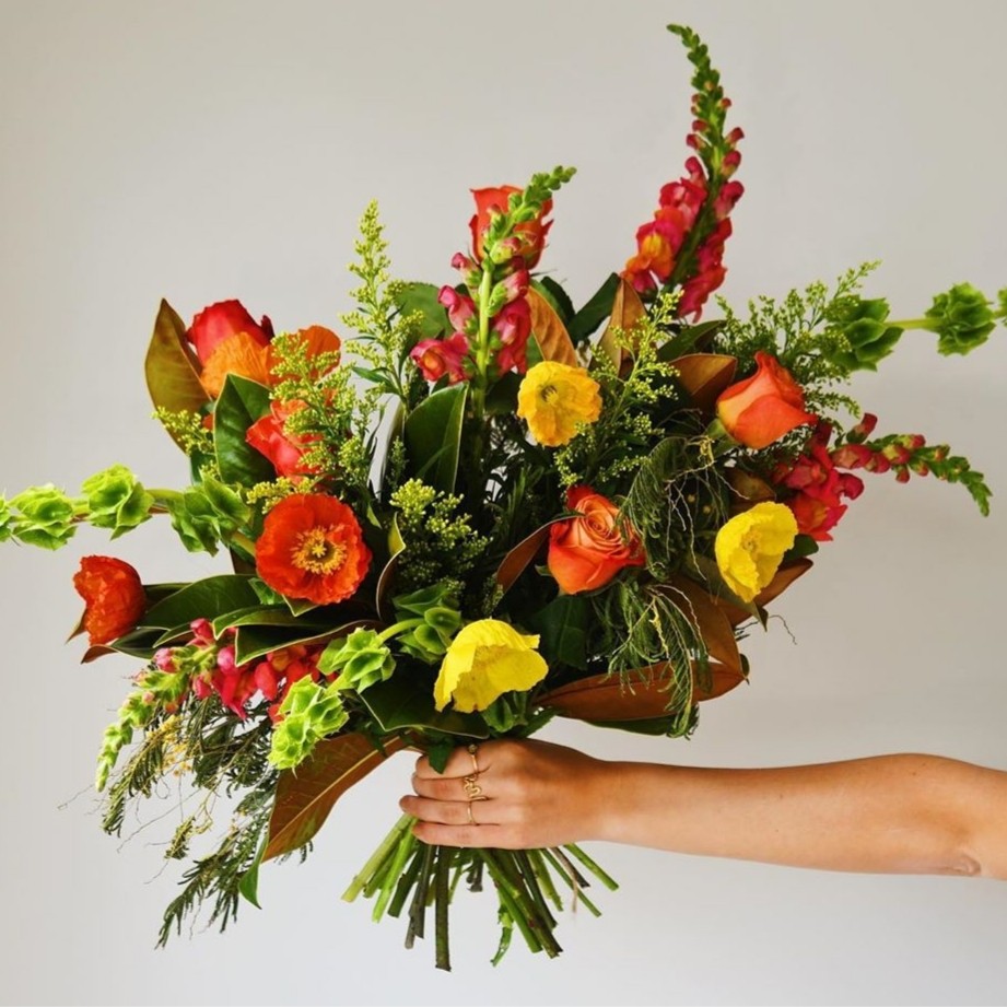 Bright and Colourful Flowers